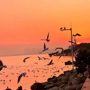 中国女人艳情快播
