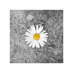 中国女人艳情快播
